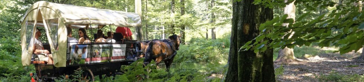 Rochehaut – Bouillon